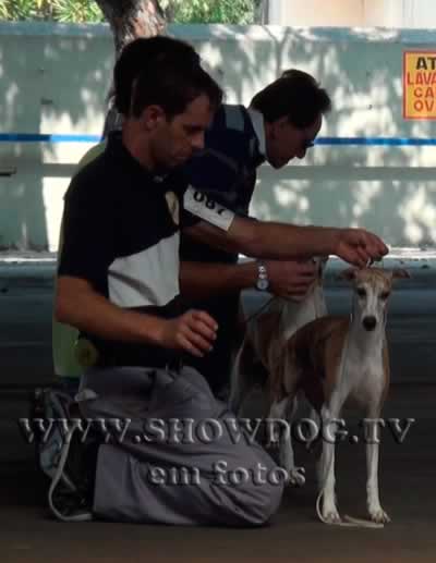 Clique sobre a foto para fechar